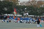 Dcim6630/DSC_3215