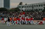 Dcim6630/DSC_3221