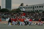 Dcim6630/DSC_3224
