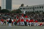 Dcim6630/DSC_3225