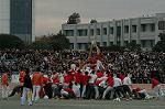 Dcim6630/DSC_3232