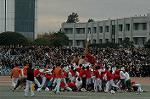 Dcim6630/DSC_3233