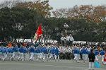 Dcim6630/DSC_3246