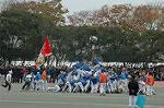 Dcim6630/DSC_3252
