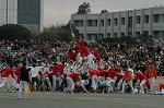 Dcim6630/DSC_3254