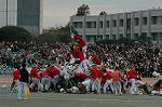 Dcim6630/DSC_3255