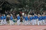 Dcim6630/DSC_3264