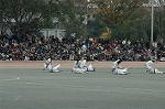 Dcim6630/DSC_3268
