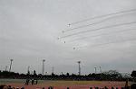 Dcim6631/DSC_8956