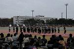 Dcim6631/DSC_8995
