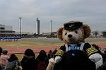 Dcim6632/DSC_9125