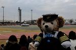 Dcim6632/DSC_9127