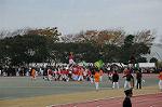 Dcim6632/DSC_9147