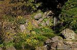 Dcim6634/DSC_9277
