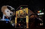 Dcim6642/DSC_0124