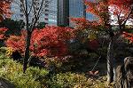 Dcim6644/DSC_0358