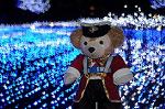 Dcim6648/DSC_0786