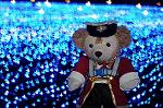 Dcim6648/DSC_0797