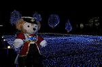 Dcim6649/DSC_0897