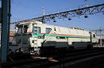 Dcim6654/DSC_1385