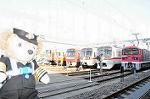 Dcim6655/DSC_1405