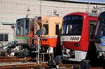 Dcim6655/DSC_1410