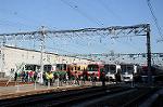 Dcim6655/DSC_1490