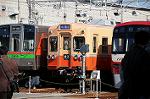 Dcim6655/DSC_1493