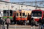 Dcim6655/DSC_1499