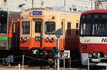Dcim6656/DSC_1528