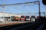 Dcim6656/DSC_1542
