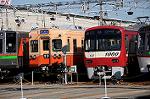 Dcim6656/DSC_1545