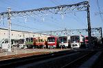 Dcim6656/DSC_1549