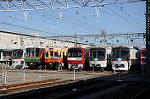 Dcim6656/DSC_1574
