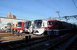 Dcim6656/DSC_1577