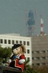 Dcim6658/DSC_3551