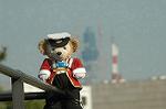 Dcim6658/DSC_3554