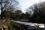 Dcim6663/DSC_2192