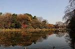 Dcim6663/DSC_2245