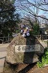 Dcim6664/DSC_2407