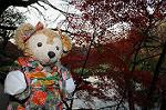 Dcim6665/DSC_2455