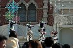 Dcim6668/DSC_3707