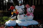 Dcim6676/DSC_2763