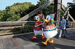 Dcim6677/DSC_2877