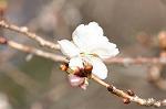 Dcim6689/DSC_4896