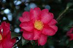 Dcim6689/DSC_4928