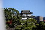 Dcim6691/DSC_4750