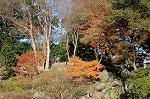 Dcim6692/DSC_4899