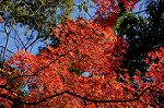 Dcim6692/DSC_4902