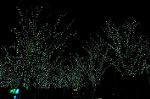 Dcim6695/DSC_5237